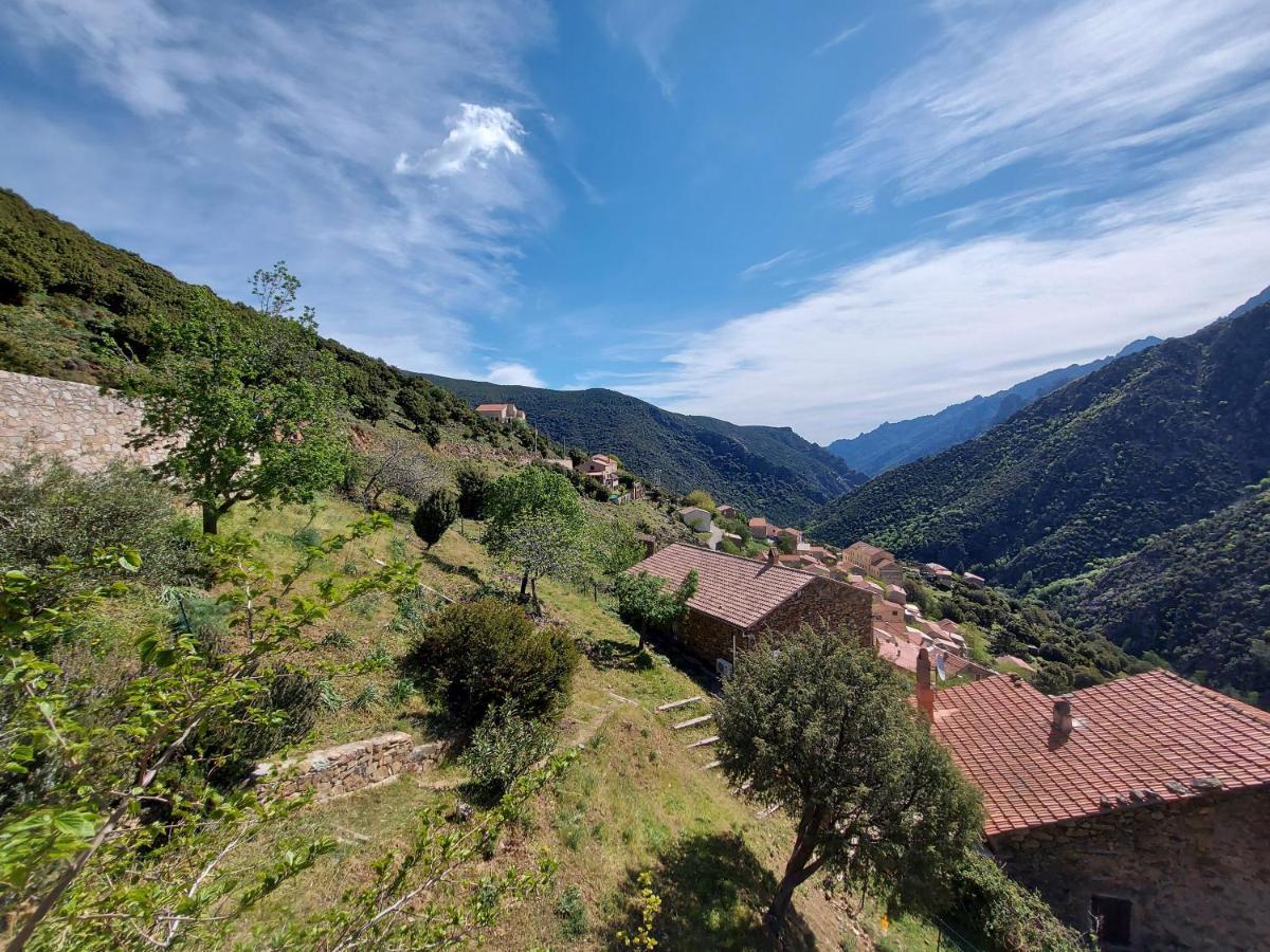 Residence E Cime Asco Locations De Studios Meubles מראה חיצוני תמונה