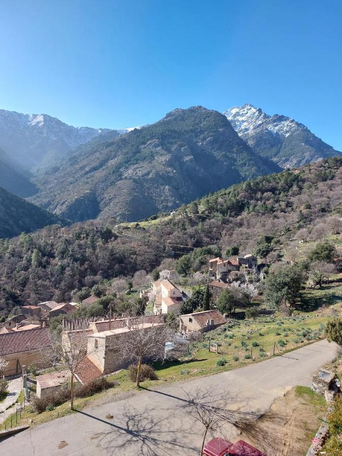 Residence E Cime Asco Locations De Studios Meubles מראה חיצוני תמונה