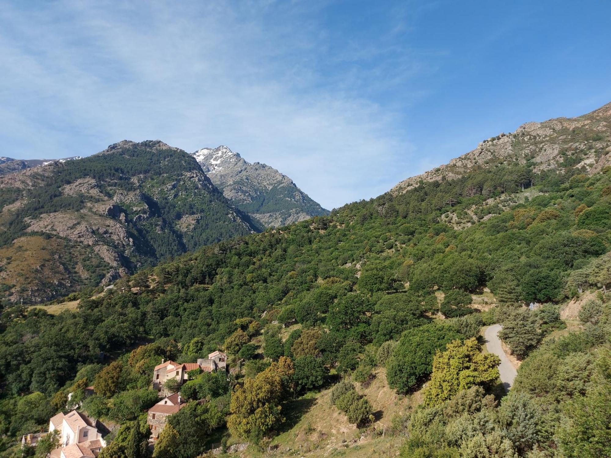 Residence E Cime Asco Locations De Studios Meubles מראה חיצוני תמונה