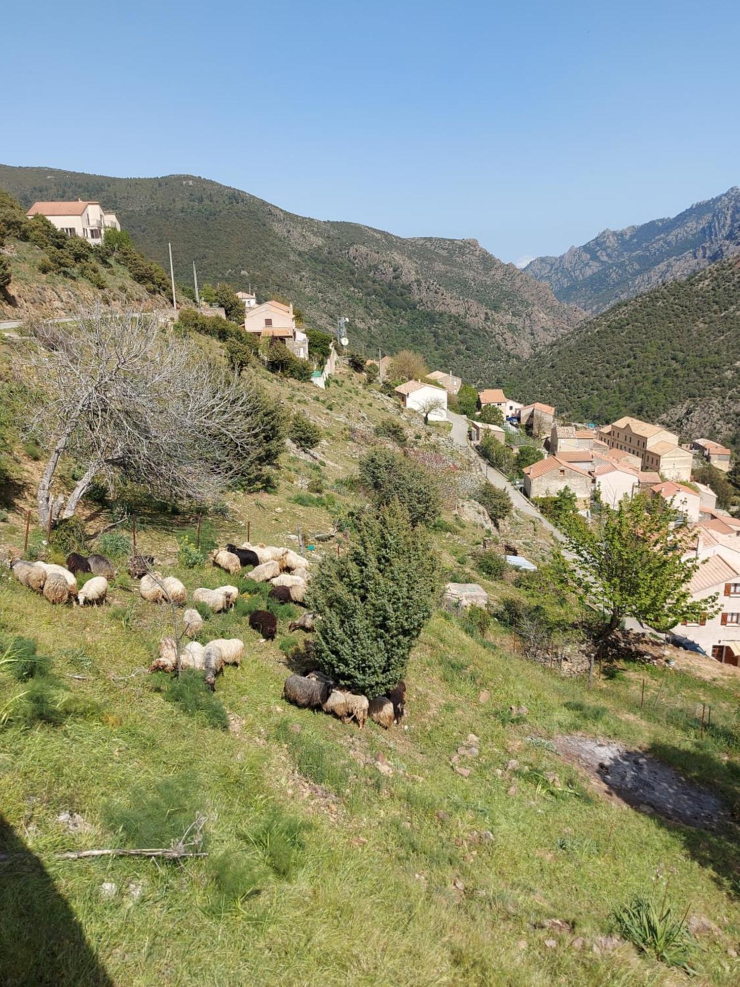 Residence E Cime Asco Locations De Studios Meubles מראה חיצוני תמונה